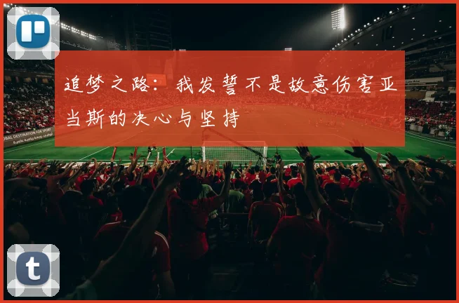 追梦之路：我发誓不是故意伤害亚当斯的决心与坚持