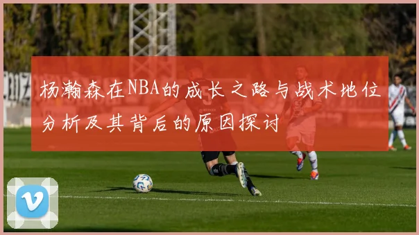 杨瀚森在NBA的成长之路与战术地位分析及其背后的原因探讨