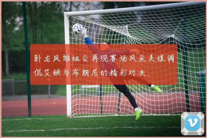 卧龙凤雏组合再现赛场风采美媒调侃艾顿与布朗尼的精彩对决
