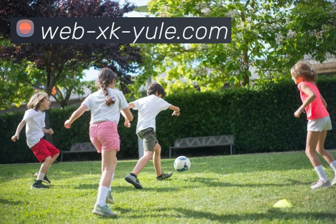 星空娱乐发展历程