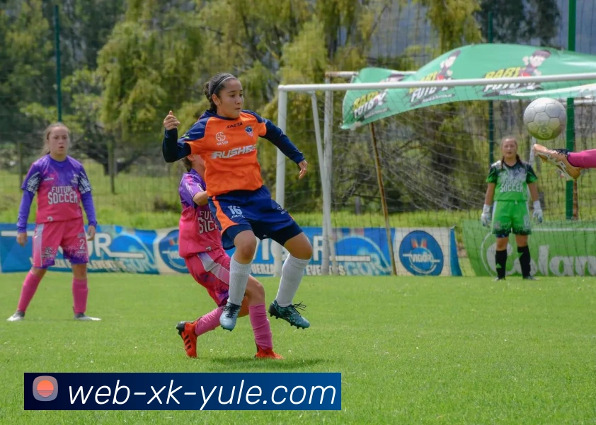 阿兰帕杜分析格伊转会前景皇萨仁或提前签约更具优势